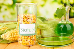 Llan Ffestiniog biofuel availability